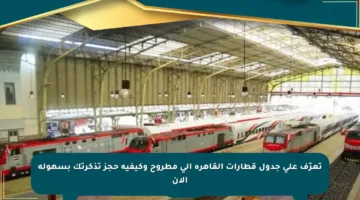 تعرّف على جدول قطارات القاهرة إلى مطروح وكيفية حجز تذكرتك بسهولة الآن